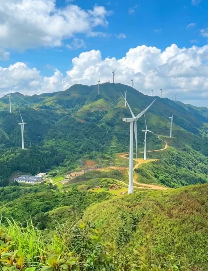 龙湾风车山（云盖顶）
