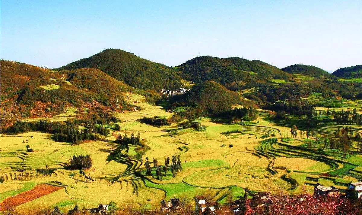 苹塘中国美丽田园