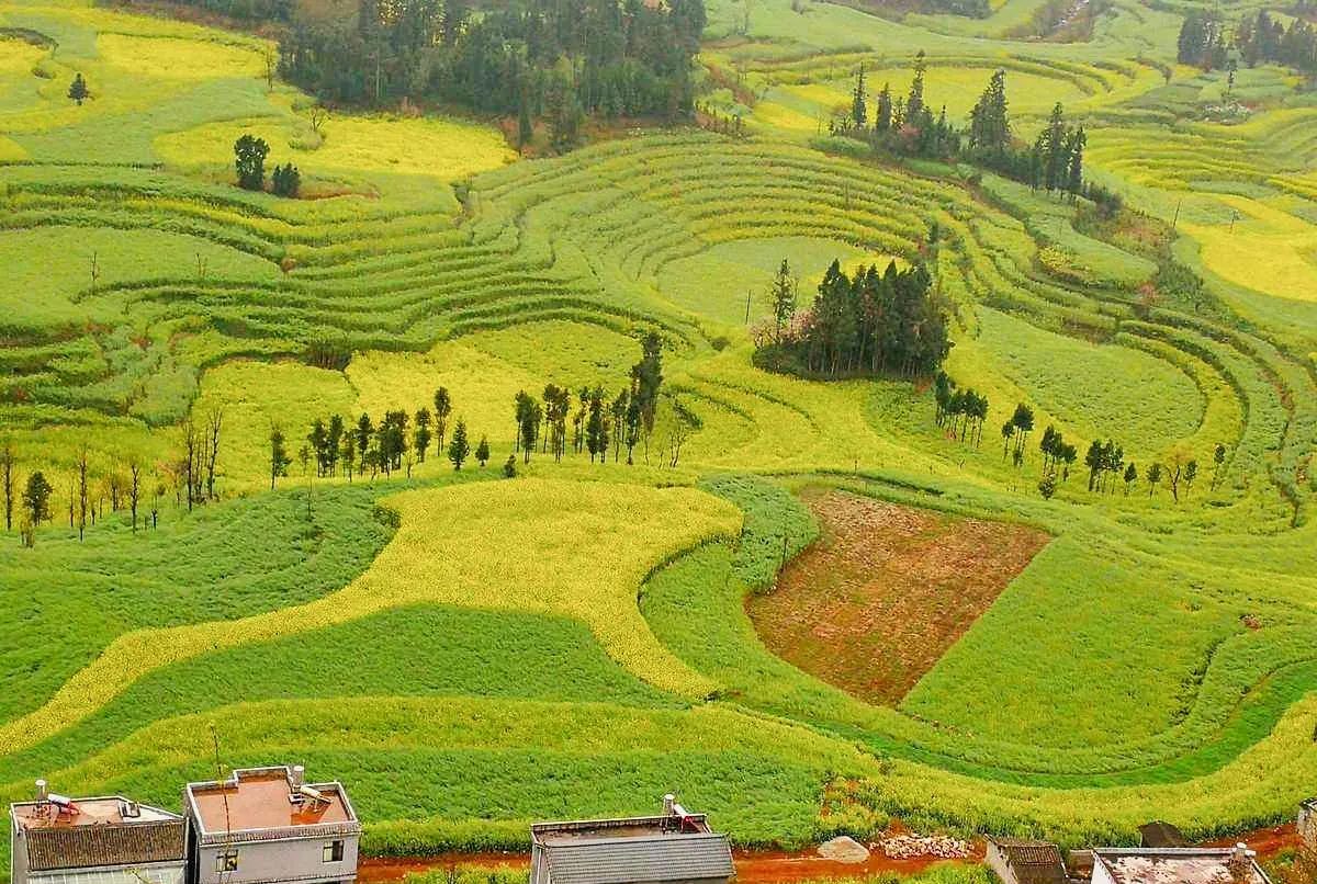 苹塘中国美丽田园