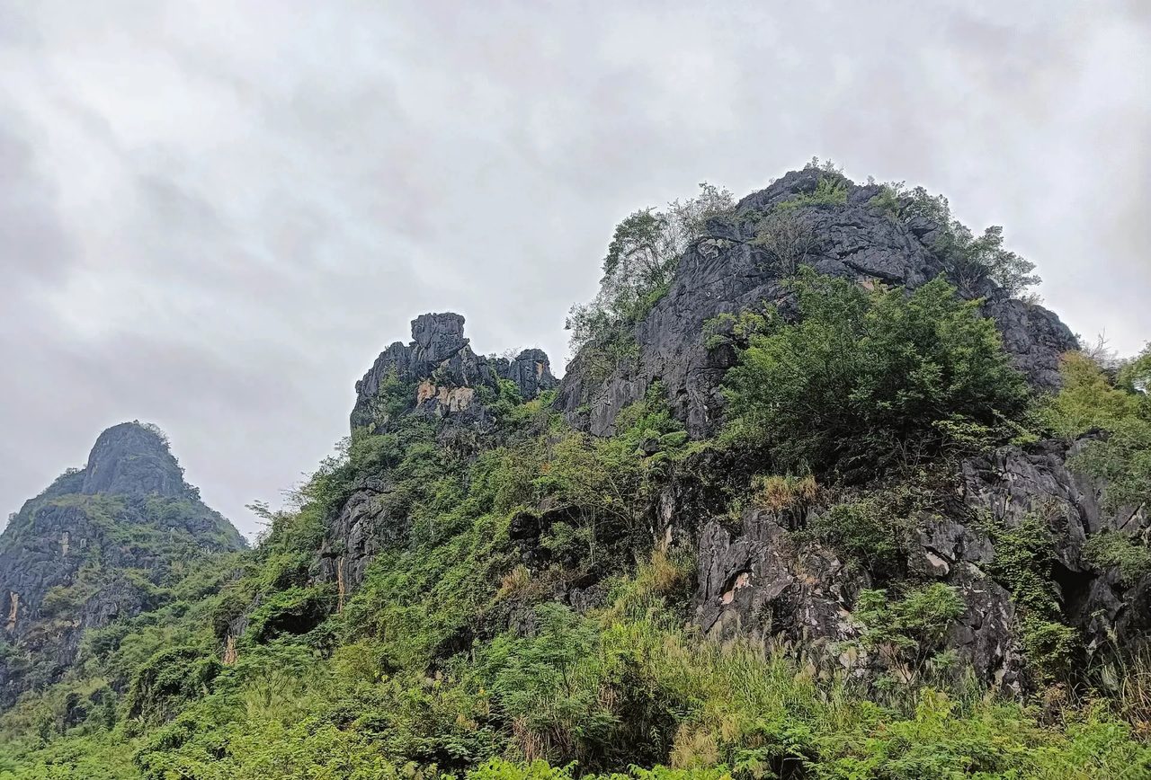 苹塘中国美丽田园