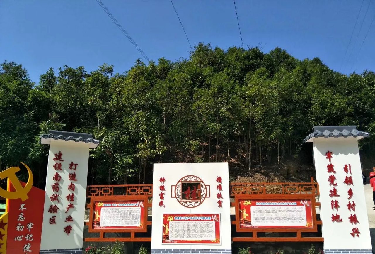 榃滨肉桂主题公园
