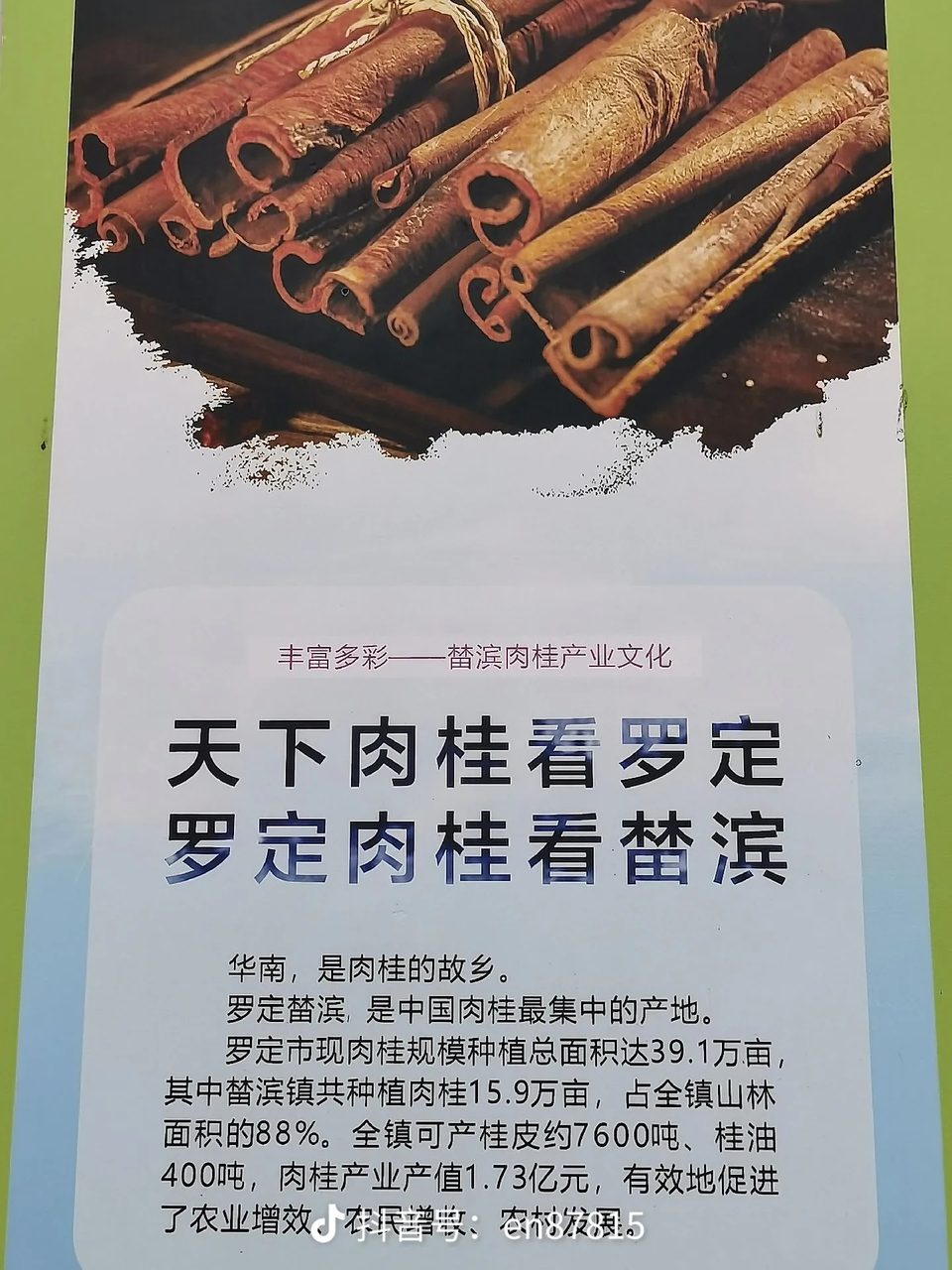 榃滨肉桂主题公园